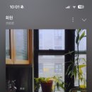 카페그리노크