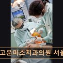 서울고운미소치과교정과치과의원 네이버블로그