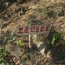 호동농장 Daum카페