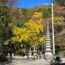 광양 불고기집 | 여행] 경상남도 하동 쌍계사 : 부모님과 함께 즐거운 가을맞이 단풍구경 &amp; 광양 삼대광양불고기집 후기