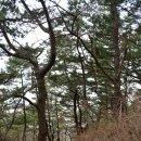 모충사慕忠祠 | ♬ [제주올레길] 올레길 18코스, 동문로터리 산지천마당∼조천만세동산(1)