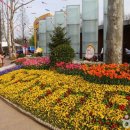 (주)투어맵코리아 이미지
