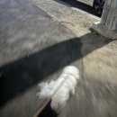 연이동물병원 이미지