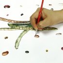 [성인] 색연필로 그리는 꽃 그림 보태니컬 아트 이미지