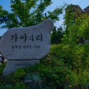 꽃마을 이미지