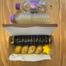 휴고김밥 이미지