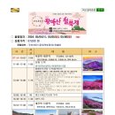 피오열차관광