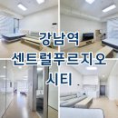 기흥역센트럴푸르지오단지내공인중개사사무 | 강남역센트럴푸르지오시티 오피스텔 단기임대 월세 최근 임대현황