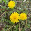 한누리부동산 공인중개사사무소 이미지