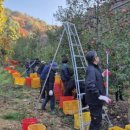 내촌면행정복지센터 이미지