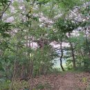 홀스파크민박 이미지