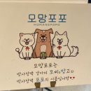 모망포포