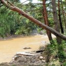 청기면사무소 이미지