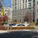 부지런한사람(라핀테이블) | 울산역근처카페 라핀테이블 언양브런치카페 프렌치토스트 오트라떼