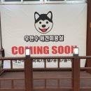 우한수 애견미용실 네이버블로그
