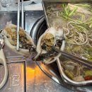 파도짐 | 나주 혁신도시 파도회포차 l 쭈꾸미 샤브샤브 내돈내산 솔직 후기