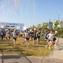 대전 여성복싱 이미지