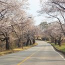 한림용인 | 한림용인CC 야간 라운딩 후기, 사파이어 루비 코스 공략 방법