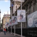 희망의 손 이미지