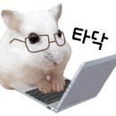 둔산중로58번길 이미지