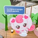 현대부산타임 | [부산] 현대 모터스튜디오 부산 캐치 티니핑 방문후기