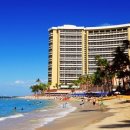 와이키키 이미지