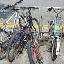 대전충남녹색연합 "거치 자전거 3대중 1대는 방치" 이미지