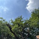 진주세차장 이미지