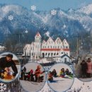 초리넝쿨마을 이미지