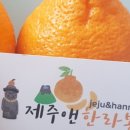 제주차롱농장