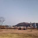 대저캠핑장 이미지