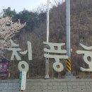 청풍하키장 이미지