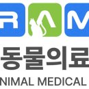 아람 동물병원 이미지