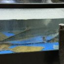 바다생협 자양점 이미지