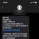 글램독가평 이미지