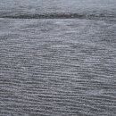 공릉천변 이미지