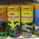 베스트피쉬 수족관 이미지