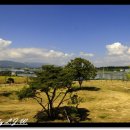 최무선관 이미지