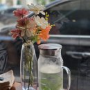 밤가시초가 화장실 | 일산 분위기 좋은 정발산맛집 윤몽 일산밤리단길본점 다녀온 후기