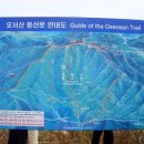 광성토굴새우젓 이미지