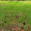 포리공원 이미지