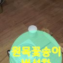 정명진농장 네이버블로그