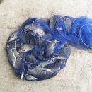 임진리낚시터 이미지