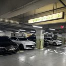 진이네 하우스 | 최악의 주차경험, 아웃백스테이크하우스 d타워 후기.