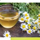 탭피트니스 이미지