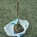 고령농장(2) 이미지