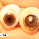 코리아의안센터 이미지