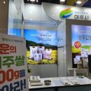 일산트레블
