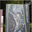 울산 태화강 대숲길,울산 대공원 장미 축제장 그리고 대왕암 나들이길~`` 이미지