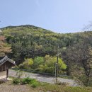 삼지재 이미지